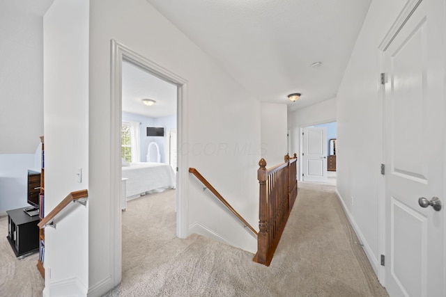 2608 Pointewood Loop, Galena, OH 43021 - photo 46