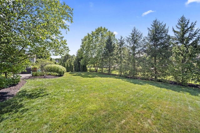 2608 Pointewood Loop, Galena, OH 43021 - photo 89
