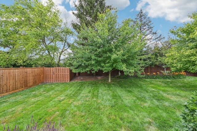 1077 Taylor Mills Dr, Reynoldsburg, OH 43068 - view of fenced backyard