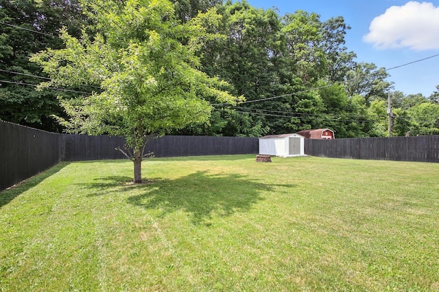 3139 Woonsocket St, Springfield, OH 45503 - fenced backyard with a storage shed