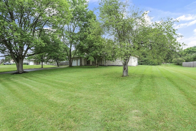 13722 Cobblestone Ln, Pickerington, OH 43147 - view of yard