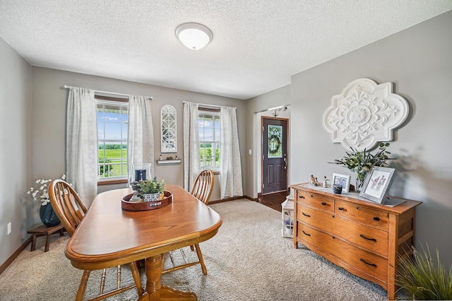 2532 State Route 292, West Mansfield, OH 43358 - dining space featuring carpet and a textured ceiling
