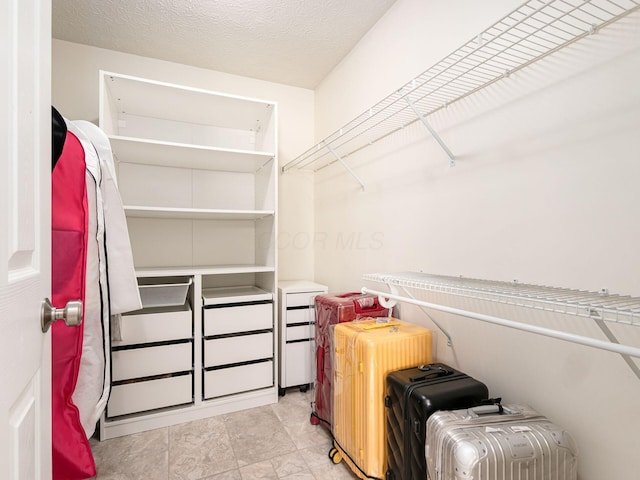 824 Lynnfield Dr, Westerville, OH 43081 - view of walk in closet