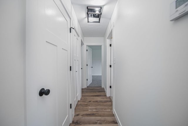 368 Woodview Dr, Chillicothe, OH 45601 - hall with wood finished floors and a textured ceiling