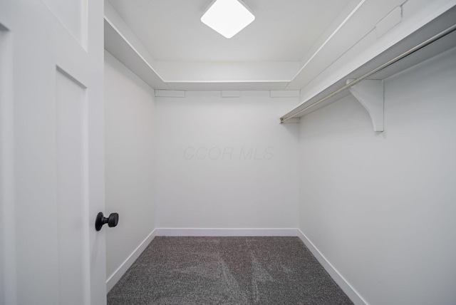368 Woodview Dr, Chillicothe, OH 45601 - spacious closet with carpet flooring