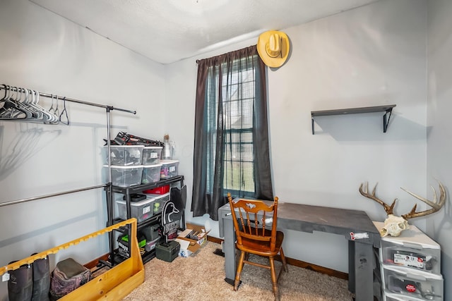 405 N Main St, Nevada, OH 44849 - office space with carpet