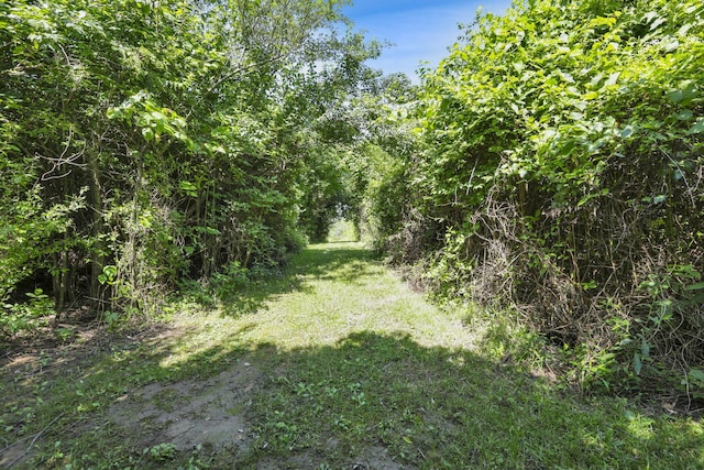 8720 Hagerty Rd, Ashville, OH 43103 - photo 74
