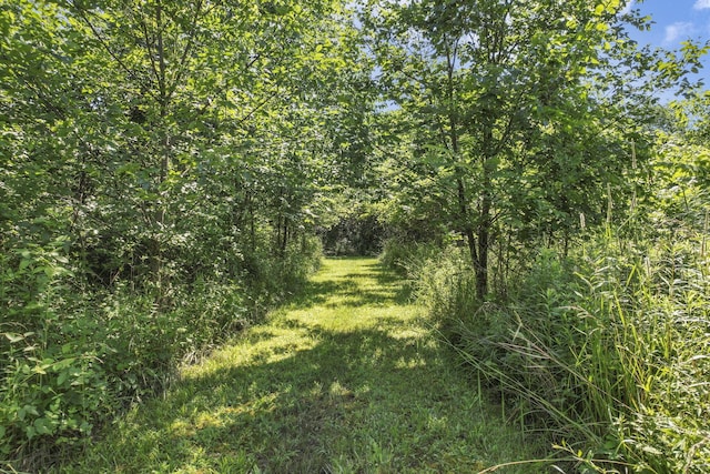 8720 Hagerty Rd, Ashville, OH 43103 - photo 90