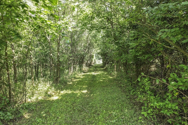 8720 Hagerty Rd, Ashville, OH 43103 - photo 93