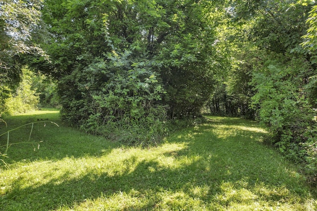 8720 Hagerty Rd, Ashville, OH 43103 - photo 94