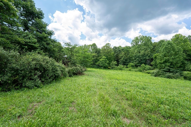 62130 Locker Plant Rd, Mcarthur, OH 45651