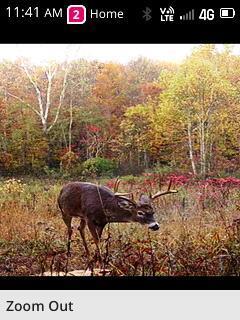 62130 Locker Plant Rd, Mcarthur, OH 45651