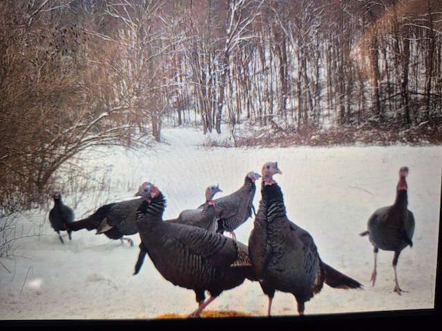 62130 Locker Plant Rd, Mcarthur, OH 45651