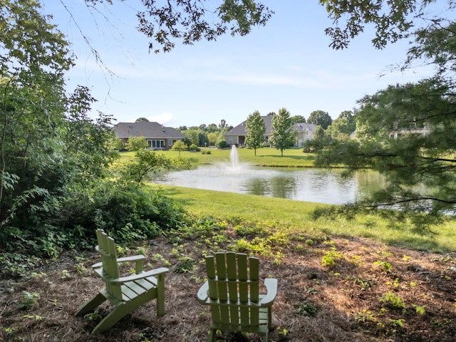 6820 Mahogany Dr, Galena, OH 43021 - water view
