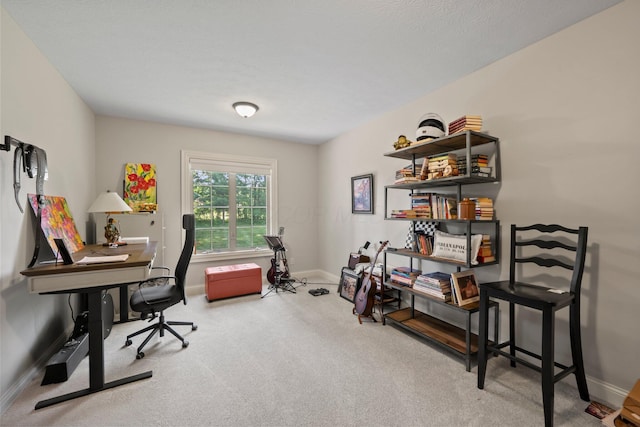 6820 Mahogany Dr, Galena, OH 43021 - office space featuring carpet and baseboards