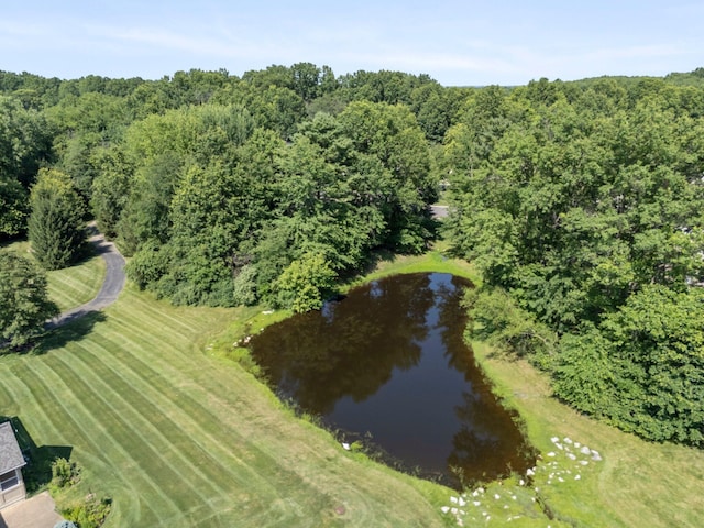 6820 Mahogany Dr, Galena, OH 43021 - aerial view of property and surrounding area with a large body of water
