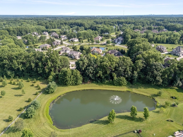 6820 Mahogany Dr, Galena, OH 43021 - aerial view of property's location featuring a large body of water