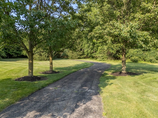 6820 Mahogany Dr, Galena, OH 43021 - view of road