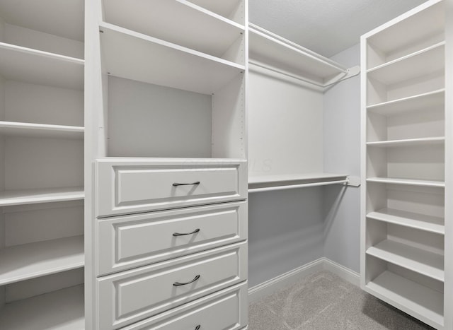 6820 Mahogany Dr, Galena, OH 43021 - spacious closet with carpet floors