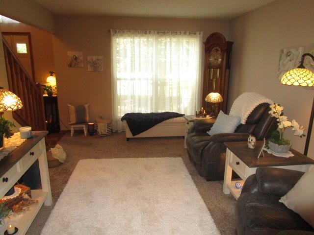 5669 Maplewood Ct, Lewis Center, OH 43035 - living area featuring stairs and carpet