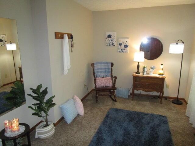 5669 Maplewood Ct, Lewis Center, OH 43035 - sitting room featuring carpet floors and baseboards