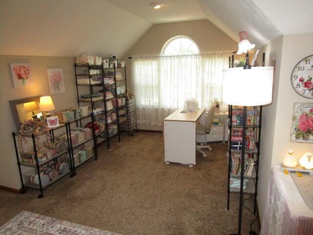 5669 Maplewood Ct, Lewis Center, OH 43035 - carpeted office space with lofted ceiling