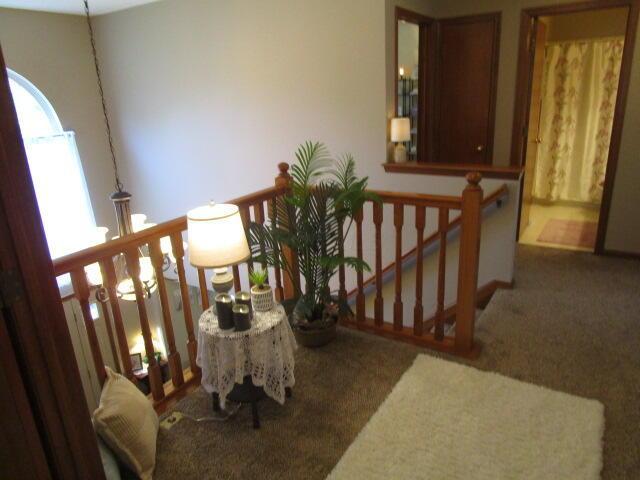 5669 Maplewood Ct, Lewis Center, OH 43035 - hallway featuring carpet flooring and an upstairs landing