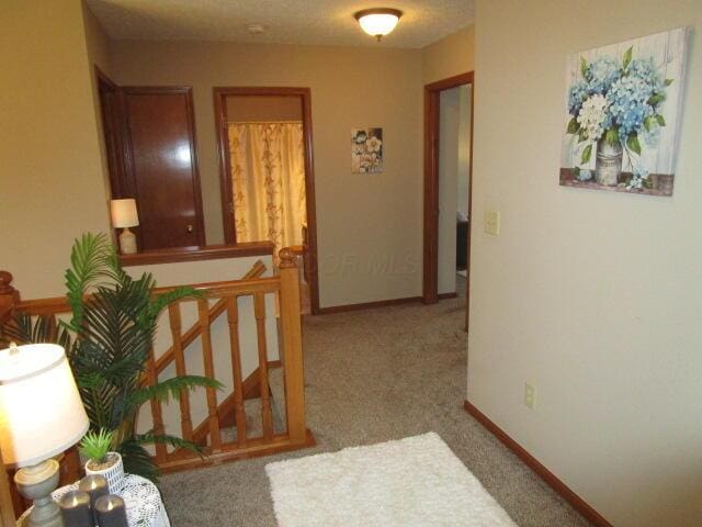 5669 Maplewood Ct, Lewis Center, OH 43035 - corridor with carpet floors and an upstairs landing
