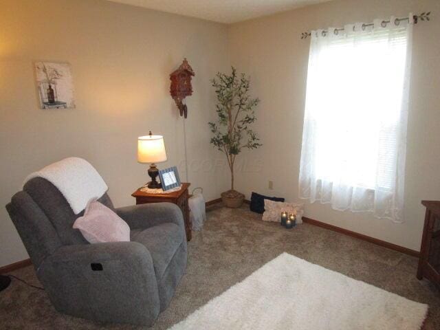 5669 Maplewood Ct, Lewis Center, OH 43035 - living area featuring healthy amount of natural light and carpet floors