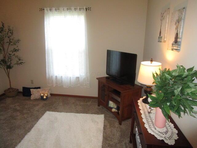 5669 Maplewood Ct, Lewis Center, OH 43035 - living area with carpet and baseboards