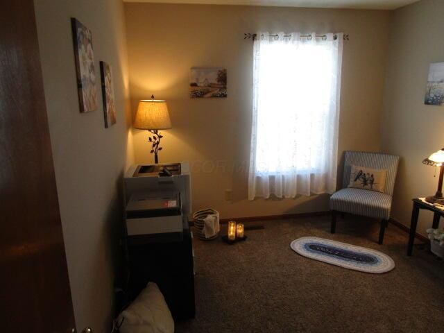5669 Maplewood Ct, Lewis Center, OH 43035 - sitting room with healthy amount of natural light and carpet