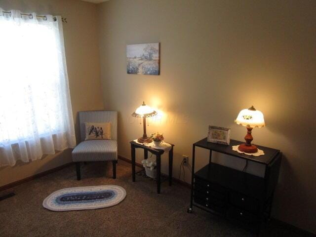 5669 Maplewood Ct, Lewis Center, OH 43035 - sitting room featuring healthy amount of natural light and carpet