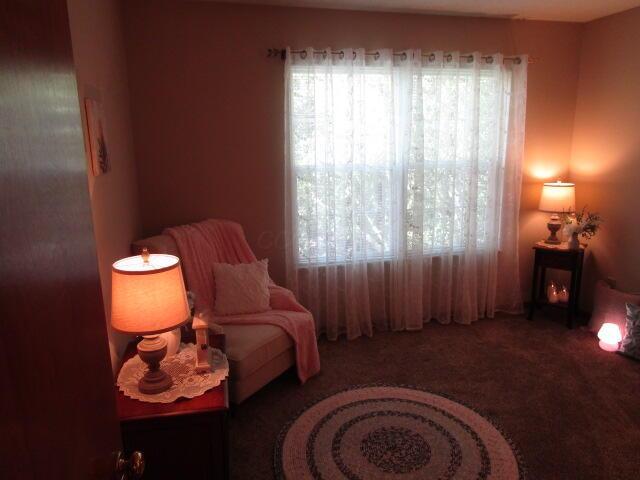 5669 Maplewood Ct, Lewis Center, OH 43035 - living area with carpet floors