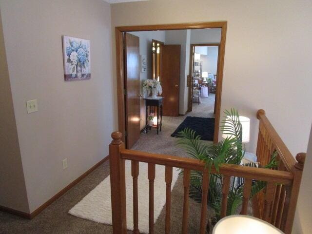 5669 Maplewood Ct, Lewis Center, OH 43035 - stairway with carpet flooring