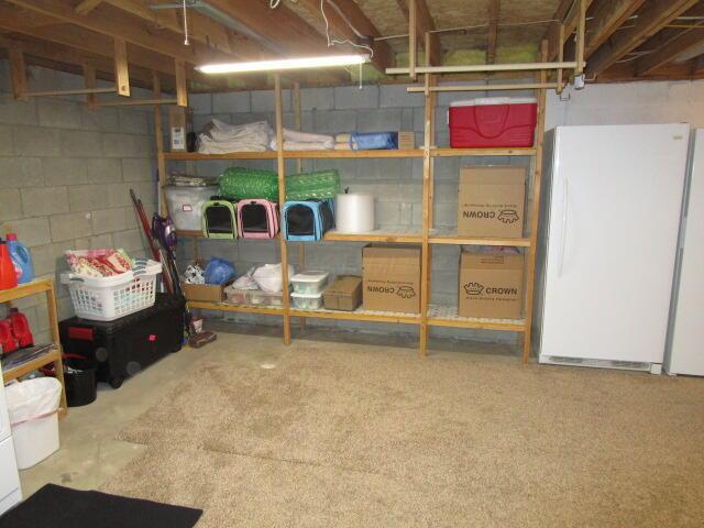 5669 Maplewood Ct, Lewis Center, OH 43035 - view of storage area