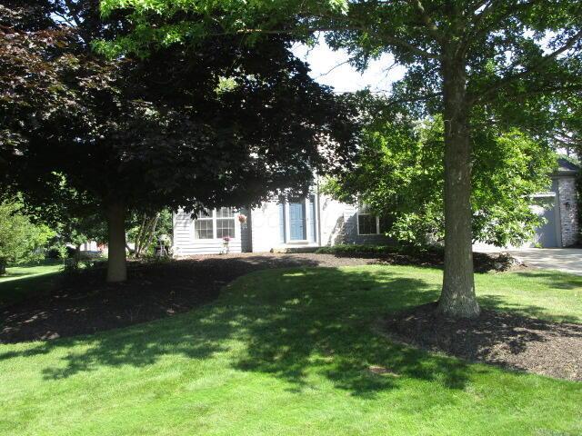 5669 Maplewood Ct, Lewis Center, OH 43035 - view of grassy yard