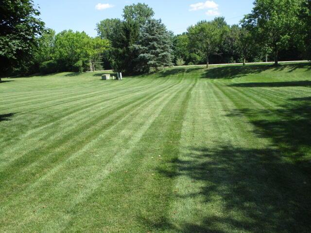 5669 Maplewood Ct, Lewis Center, OH 43035 - view of grassy yard with view of scattered trees