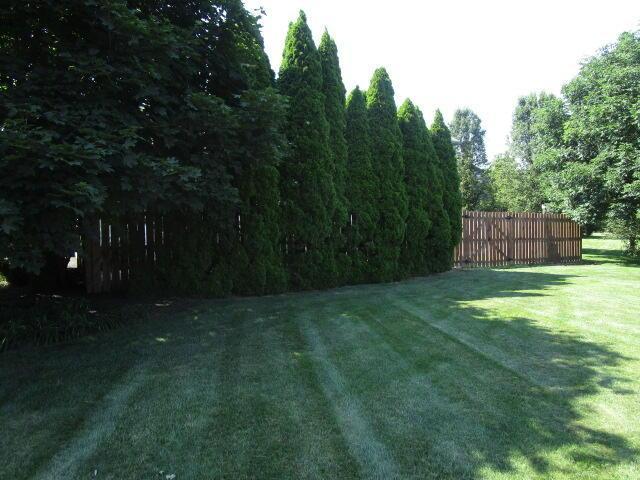 5669 Maplewood Ct, Lewis Center, OH 43035 - view of yard