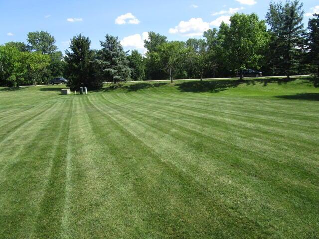 5669 Maplewood Ct, Lewis Center, OH 43035 - view of home's community featuring a yard and view of scattered trees