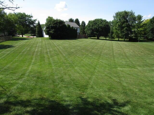 5669 Maplewood Ct, Lewis Center, OH 43035 - view of green lawn