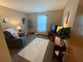 5669 Maplewood Ct, Lewis Center, OH 43035 - photo 51