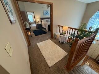 5669 Maplewood Ct, Lewis Center, OH 43035 - photo 21