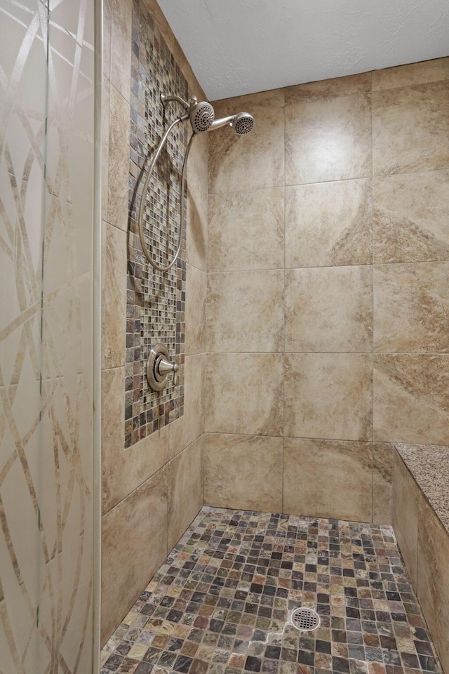3902 Rivers Run Dr, Lewis Center, OH 43035 - bathroom view of a tile shower