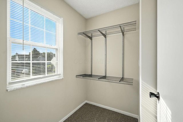 1771 Fern Trail Dr, Lancaster, OH 43130 - spacious closet with carpet flooring