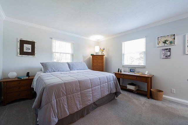 12499 Cleo Rd, Orient, OH 43146 - photo 31