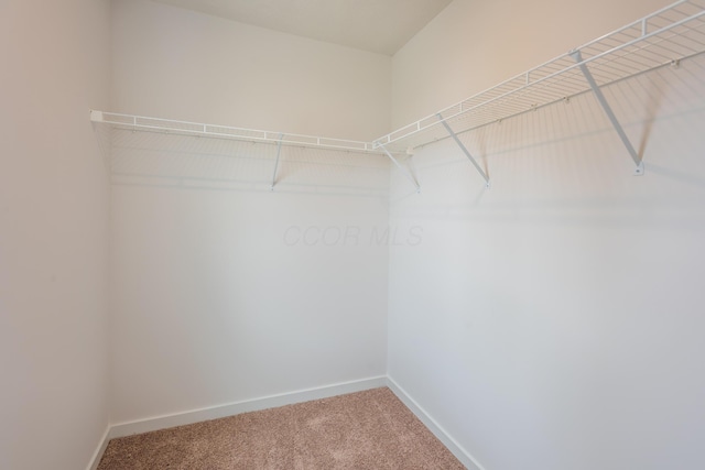28 Hemingway Ave, Ashville, OH 43103 - photo 18