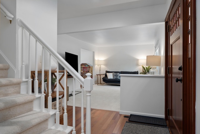 6853 Cedar Brook Pl, New Albany, OH 43054 - stairs featuring wood finished floors