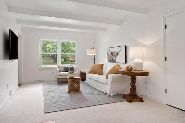 6853 Cedar Brook Pl, New Albany, OH 43054 - carpeted living area featuring beamed ceiling and baseboards