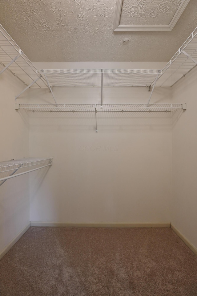 2253 Otter Ln, Dublin, OH 43016 - walk in closet featuring carpet floors