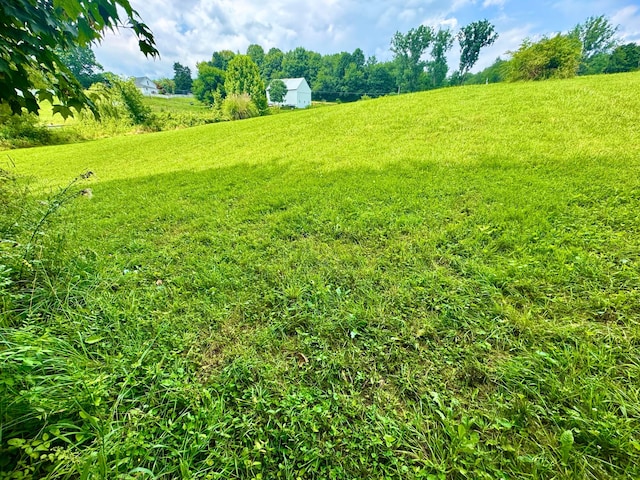 0 Old Mansfield Rd, Mount Vernon, OH 43050 - photo 12